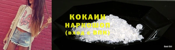 spice Богородск