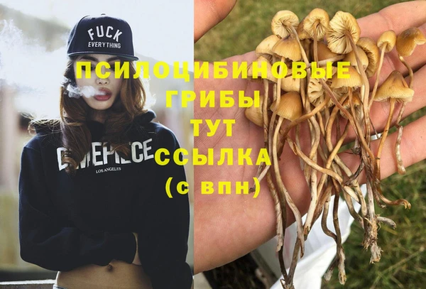 экстази Бронницы