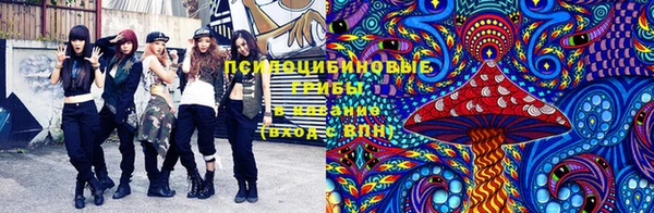 мяу мяу мука Бугульма