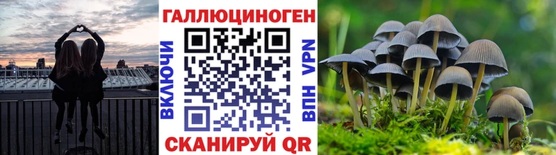 Псилоцибиновые грибы прущие грибы  нарко площадка официальный сайт  Ижевск  закладки 